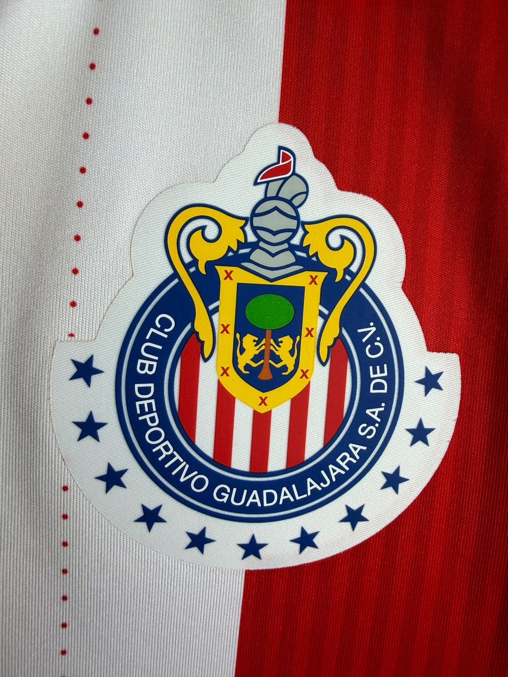CD Guadalajara Chivas 2016/17 Home Jersey #3 Salcido