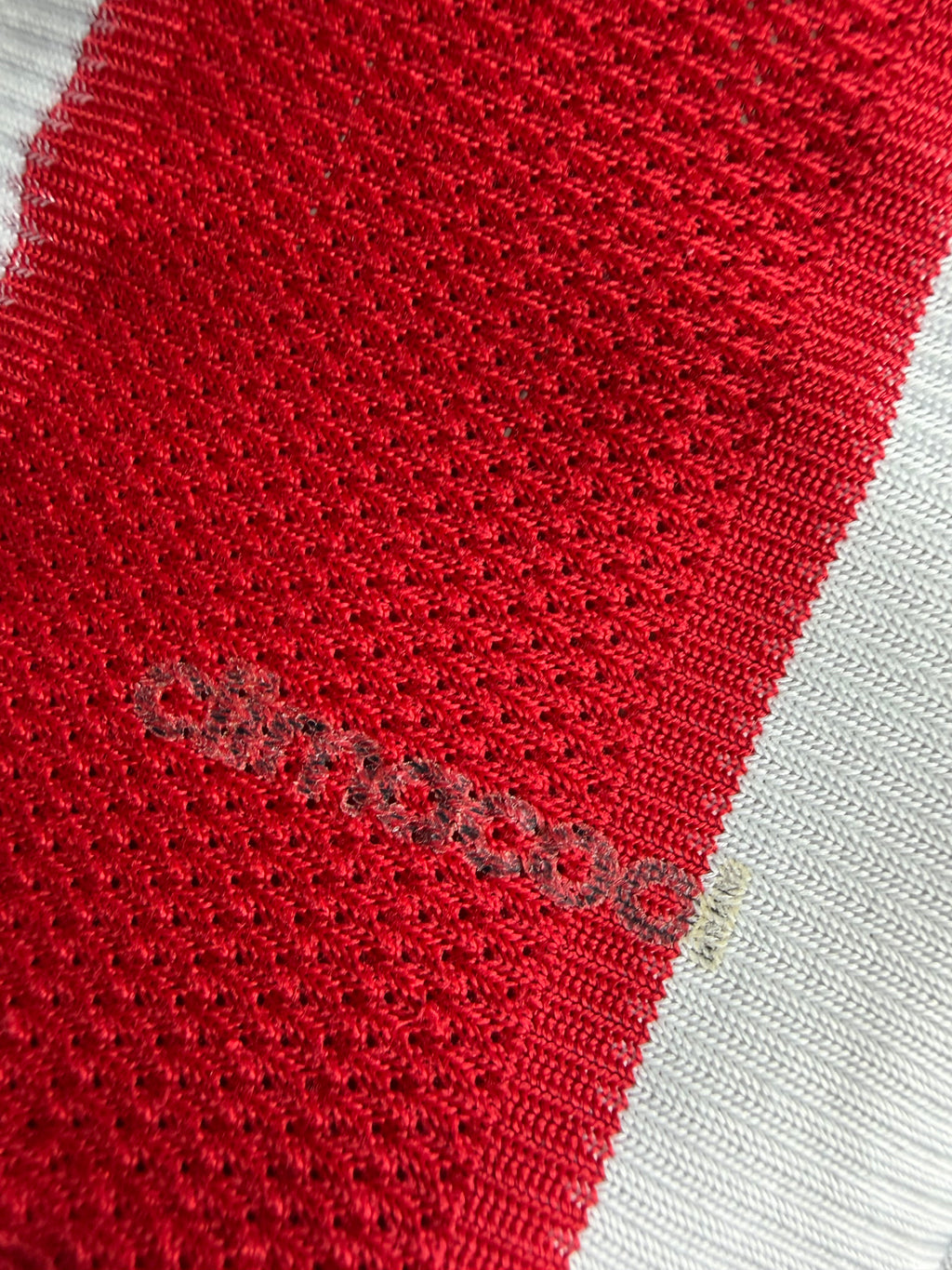 CD Guadalajara Chivas 2014/15 Home Jersey #30 Salcido