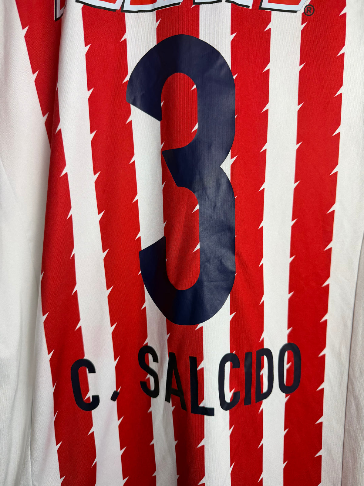 CD Guadalajara Chivas 2015/16 Home Jerey #3 Salcido