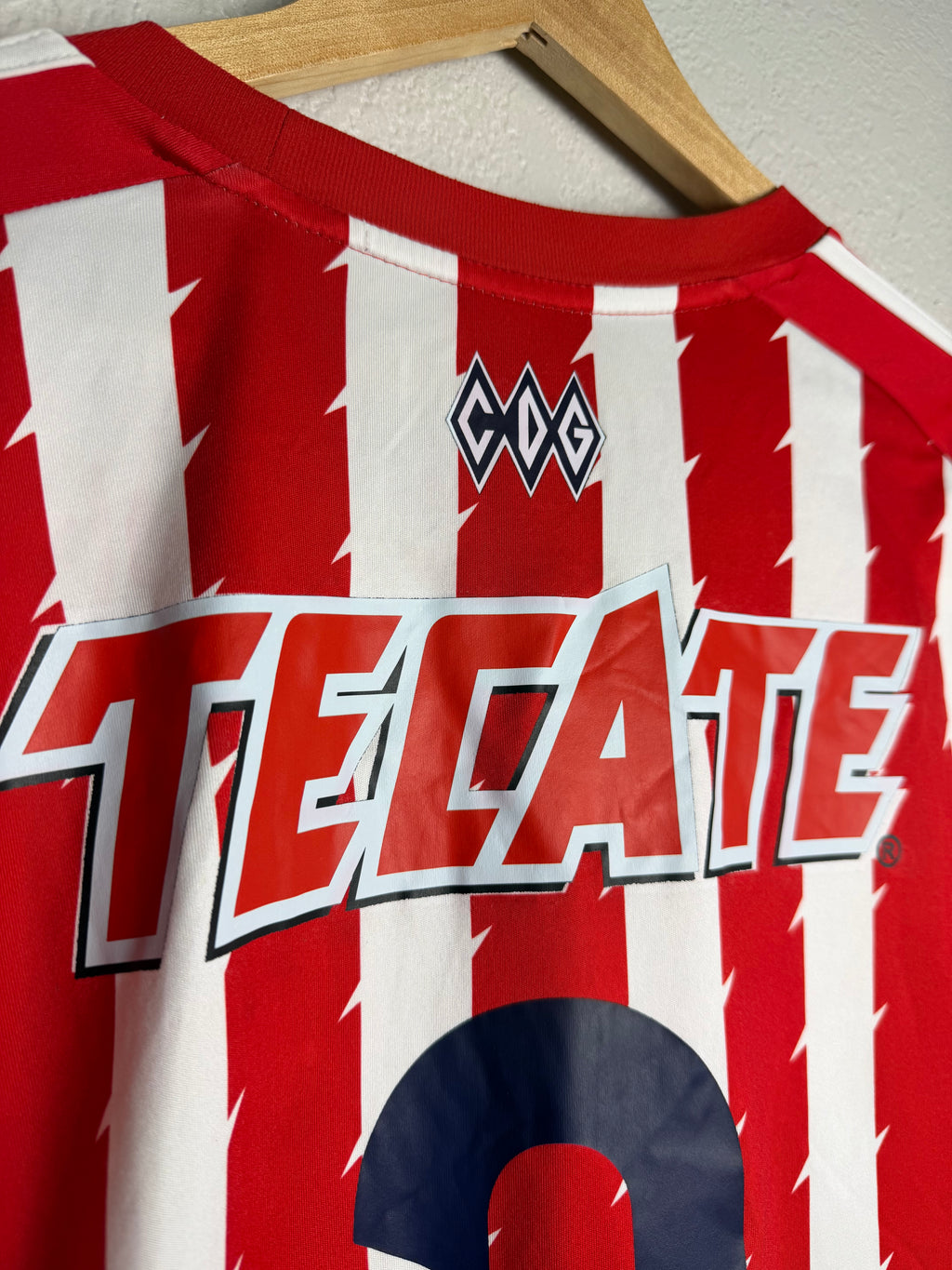 CD Guadalajara Chivas 2015/16 Home Jerey #3 Salcido