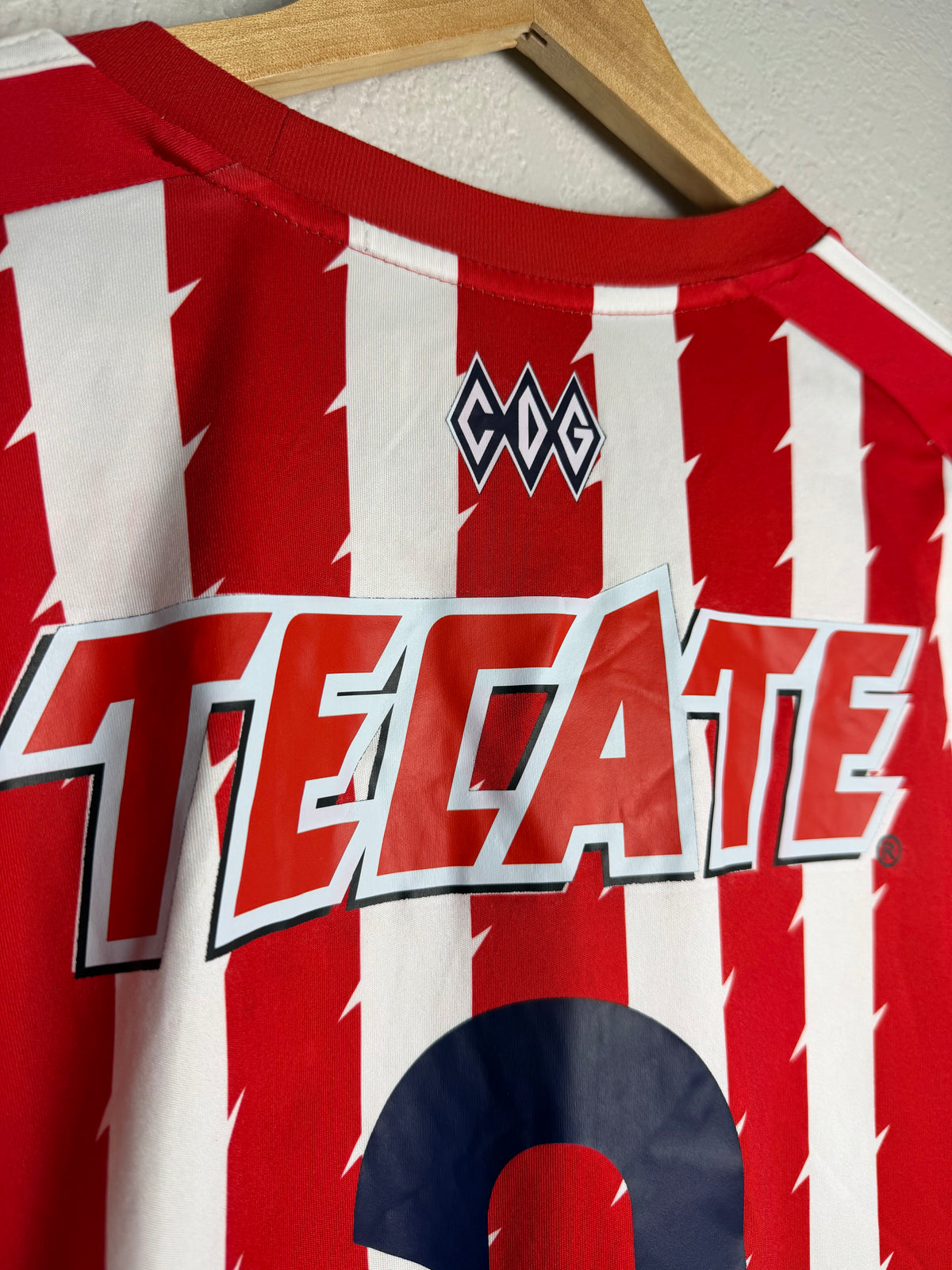 CD Guadalajara Chivas 2015/16 Home Jerey #3 Salcido