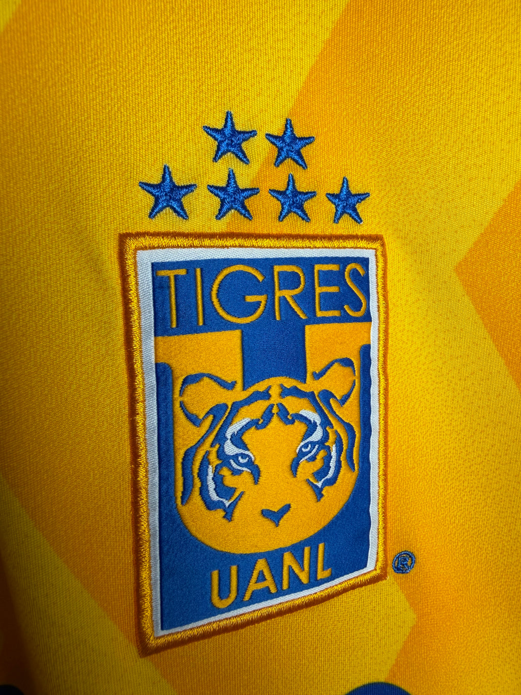 Tigres UANL 2017/18 Home Jersey #33 Quiñones