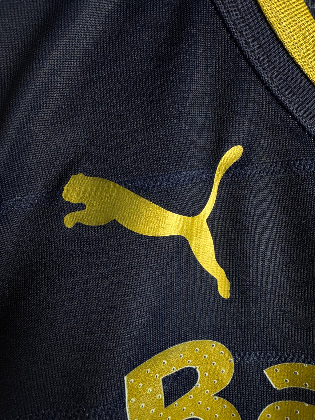Pumas UNAM 2012/13 Away Jersey #4 Dario Veron