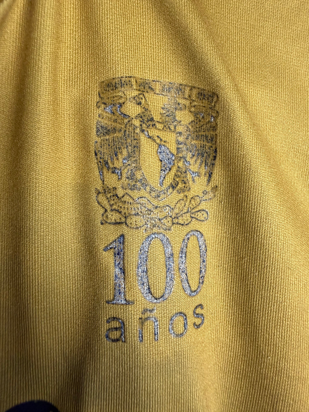 Pumas UNAM 2010/11 Third Jersey #10 Bravo