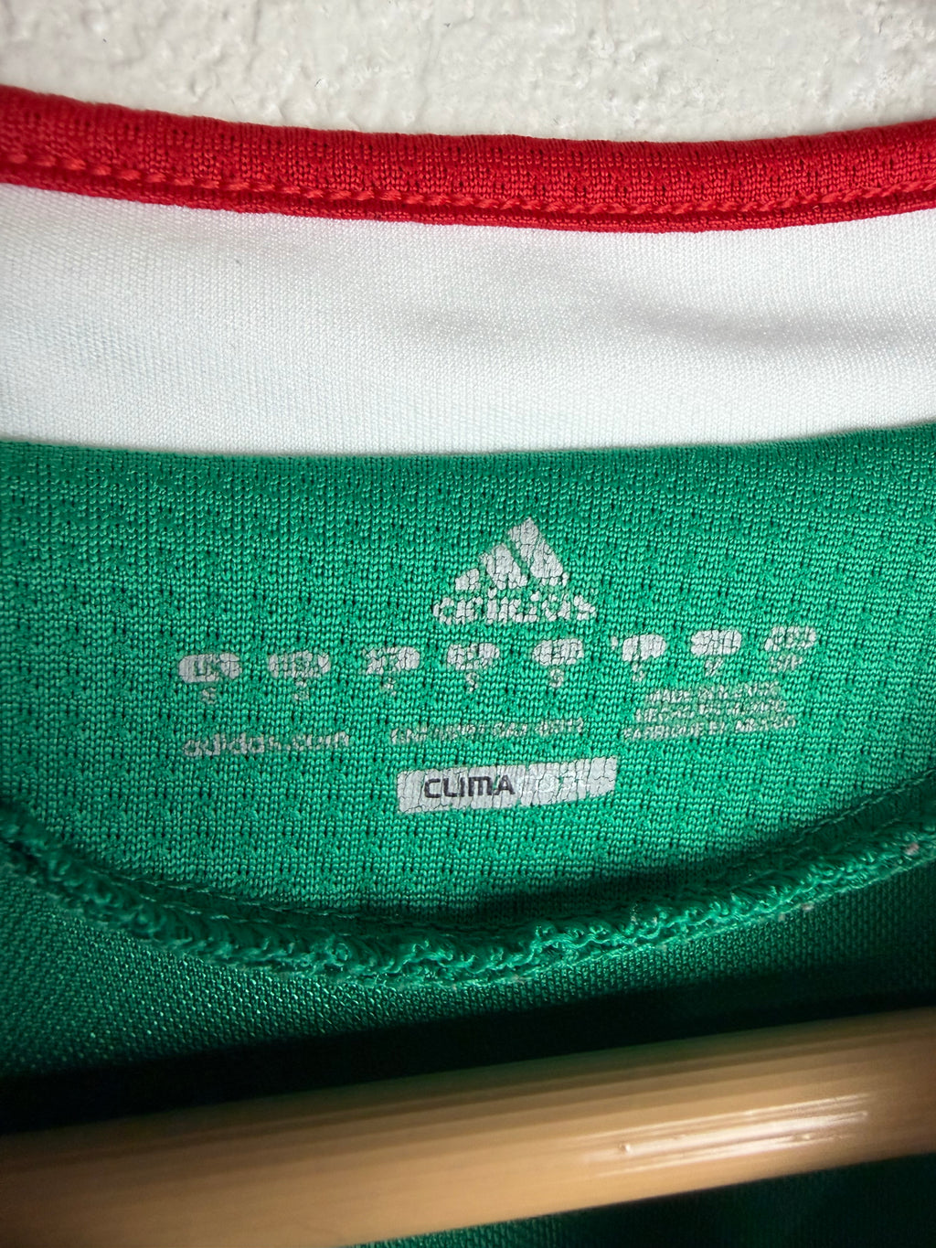 Mexico 2010 World Cup Home Jersey #18 Guardado