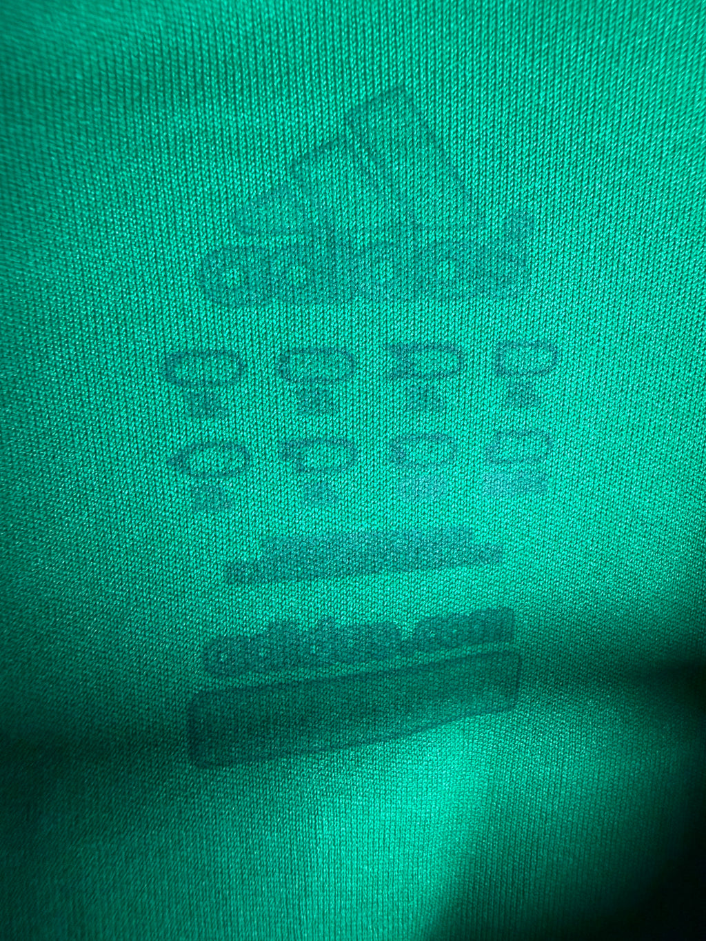 St.Etienne 2008/09 Home Jersey #7 Payet
